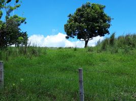 Terrain à vendre à Tagaytay City, Calabarzon, Tagaytay City, Cavite, Calabarzon