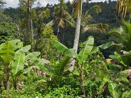  Grundstück zu verkaufen in Gianyar, Bali, Tegallalang