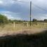  Land for sale in Rincon De Romos, Aguascalientes, Rincon De Romos