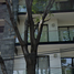 2 Habitación Villa en venta en Miguel Hidalgo, Ciudad de México, Miguel Hidalgo