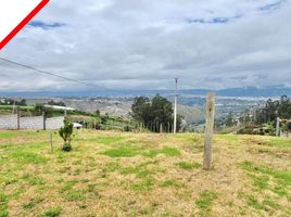  Land for sale in Tungurahua, Izamba, Ambato, Tungurahua