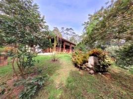 Maison 3 chambre à vendre à Rionegro, Antioquia, Rionegro