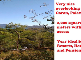  Terrain for sale in Coron, Palawan, Coron