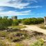  Land for sale in Dzidzantun, Yucatan, Dzidzantun