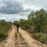  Land for sale in Dzidzantun, Yucatan, Dzidzantun