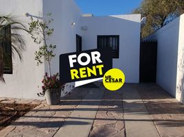 在Hermosillo, Sonora出租的2 卧室 屋, Hermosillo