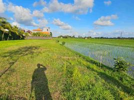  Land for sale in Kediri, Tabanan, Kediri