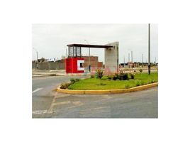  Terreno (Parcela) en venta en Chiclayo, Lambayeque, Pimentel, Chiclayo