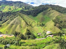 3 Bedroom Villa for sale in La Ceja, Antioquia, La Ceja