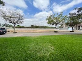  Land for sale in Samborondon, Guayas, Samborondon, Samborondon