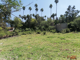 Terrain à vendre à Ixtlahuacan De Los Membrillos, Jalisco, Ixtlahuacan De Los Membrillos