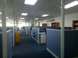 1,503 SqM Office for rent in Metro Manila, Mandaluyong City, Eastern District, Metro Manila