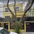 3 Schlafzimmer Villa zu verkaufen in Miguel Hidalgo, Mexico City, Miguel Hidalgo