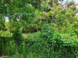  Land for sale in Tanza, Cavite, Tanza