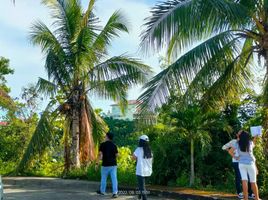  Terreno (Parcela) en venta en Cebu City, Central Visayas, Cebu City, Cebu, Central Visayas, Filipinas