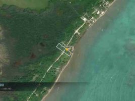  Grundstück zu verkaufen in Othon P Blanco, Quintana Roo, Othon P Blanco
