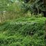  Terreno (Parcela) en venta en Tanay, Calabarzon, Tanay