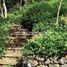  Terreno (Parcela) en venta en Tanay, Calabarzon, Tanay