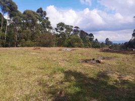  Land for sale in San Vicente, Antioquia, San Vicente