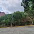  토지을(를) Talisay City, 세부에서 판매합니다., Talisay City