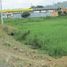  Land for sale in Chone, Manabi, Chone, Chone