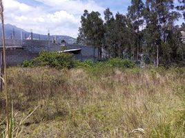  Terrain for sale in Imbabura, Otavalo, Otavalo, Imbabura