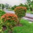  Land for sale in Santa Rosa City, Calabarzon, Santa Rosa City, Laguna