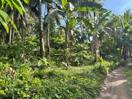  Grundstück zu verkaufen in Quezon, Calabarzon, Sariaya