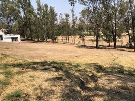  Land for sale in Tarimbaro, Michoacan, Tarimbaro