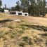  Land for sale in Tarimbaro, Michoacan, Tarimbaro