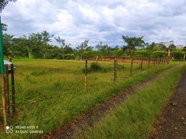  Land for sale in Pereira, Risaralda, Pereira