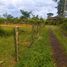  Land for sale in Pereira, Risaralda, Pereira