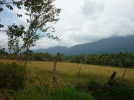  Terrain for sale in Villa De Leyva, Boyaca, Villa De Leyva