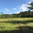  Land for sale in Batuan, Bohol, Batuan