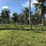  Land for sale in Batuan, Bohol, Batuan