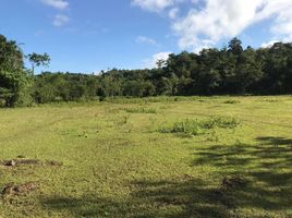  Land for sale in Batuan, Bohol, Batuan