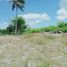  Land for sale in Moalboal, Cebu, Moalboal