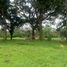  Land for sale at Manila Southwoods Peak V, Carmona