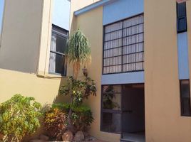 4 Habitación Casa en venta en Del Centro, Oaxaca, Del Centro, Oaxaca