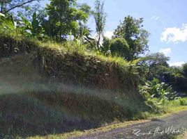  Tanah for sale in Baturiti, Tabanan, Baturiti