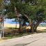  Land for sale in Cebu Central Visayas, Barili