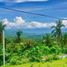  Land for sale in Cebu Central Visayas, Barili