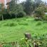  Land for sale in Envigado, Antioquia, Envigado