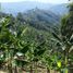 3 Schlafzimmer Villa zu verkaufen in Santuario, Risaralda, Santuario