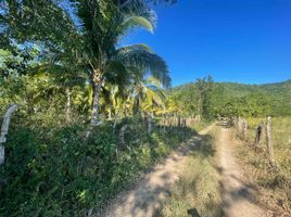  Terrain for sale in Nayarit, Compostela, Nayarit