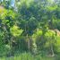  Terreno (Parcela) en venta en Cebu City, Central Visayas, Cebu City