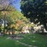 2 Bedroom Apartment for rent in Cuernavaca, Morelos, Cuernavaca, Morelos