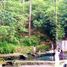  Land for sale in Ligao City, Bicol, Ligao City, Albay