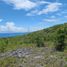  Land for sale in Cebu Central Visayas, Sibonga