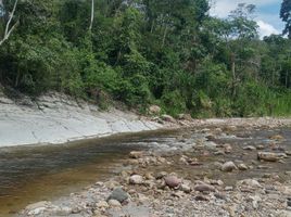  Land for sale in San Martin, San Antonio, San Martin, San Martin